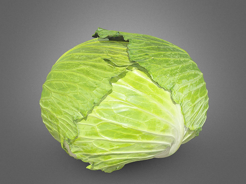 Modern Cabbage