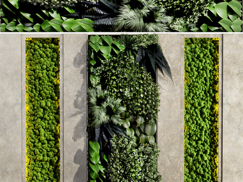 Modern moss green plant wall plant wall