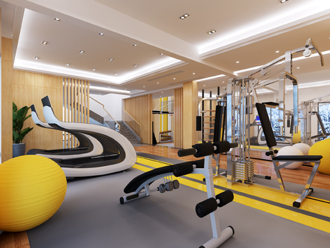 Modern Gym Recreation Room