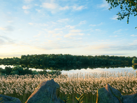 Modern reed landscape trees lake landscape