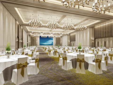 Modern Hotel Ballroom