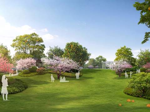 modern park green plant landscape tree garden psd