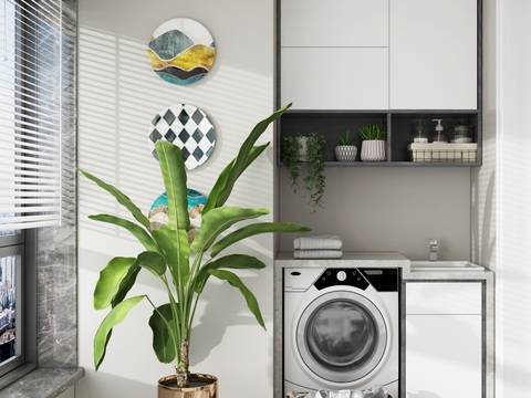 Modern balcony washing machine room