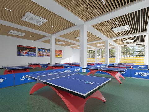 Table Tennis Gymnasium