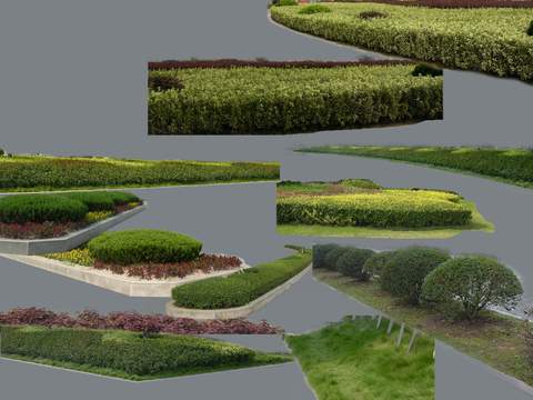 modern bushes greenery psd