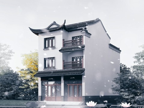 Chinese Homestay Building Appearance