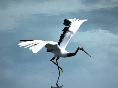 modern white crane