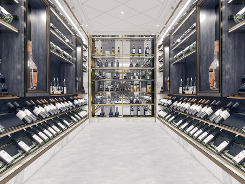 Modern Affordable Luxury Style Wine Cellar