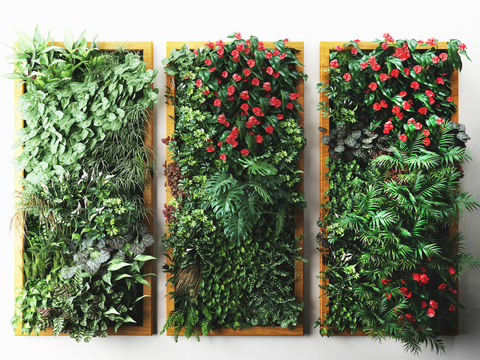 Modern Green Plants and Plants Wall