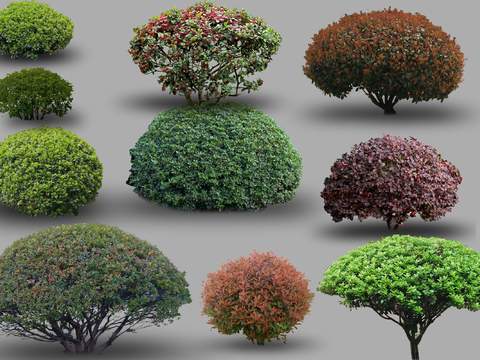 modern green planting trees bushes psd