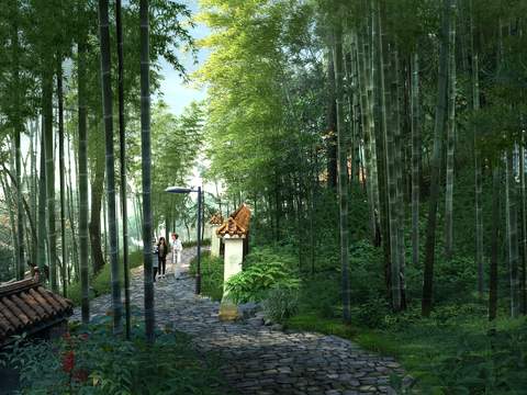 new chinese forest jungle bamboo landscape psd