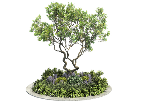 Modern Greening Shrub