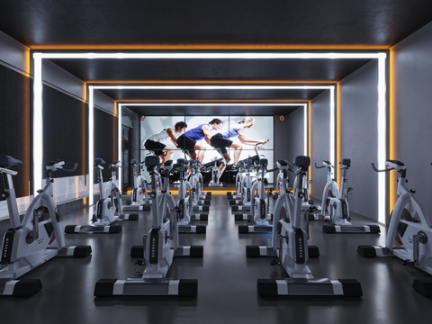 Modern Gym