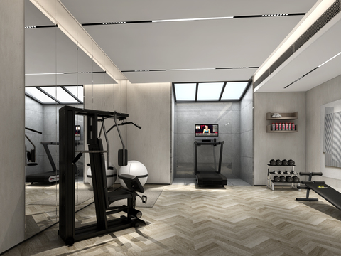 Modern gym free