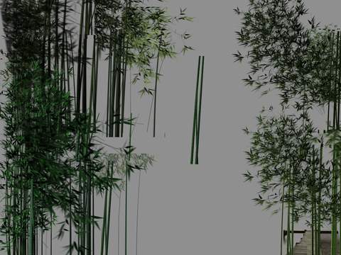 modern bamboo green plant psd