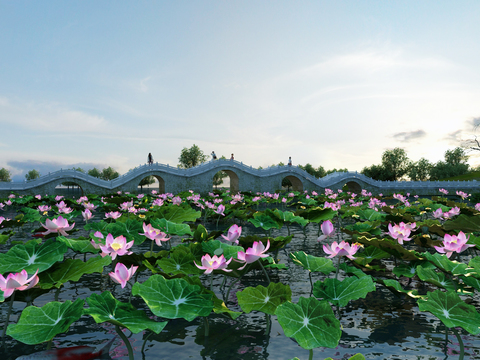 Landscape of New Chinese Kongqiao Lotus Pond