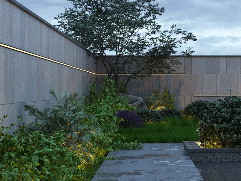 Modern Courtyard Garden