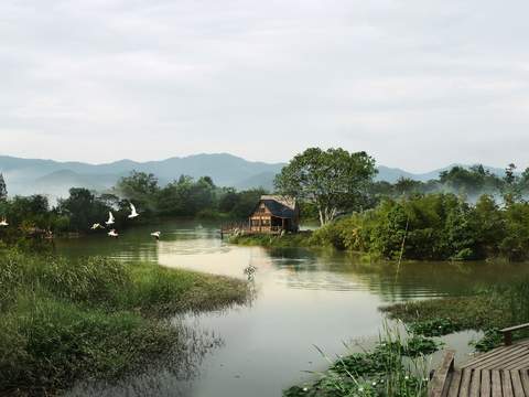 natural wind wetland landscape psd