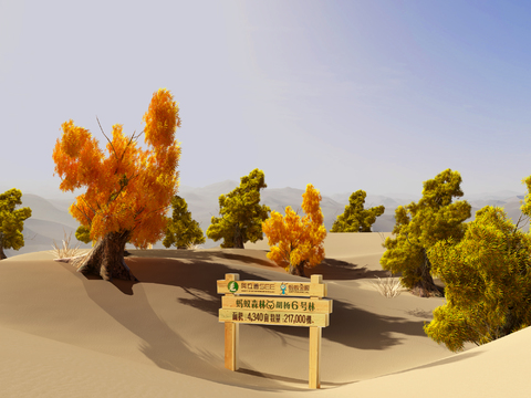 Modern Alashan Desert Ant Forest