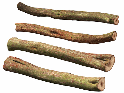 wood wood wood wood wood stick rotten wood