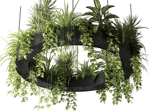 Modern Chlorine hanging green plants