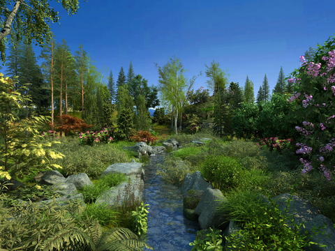 Natural Wind Forest Stream Landscape