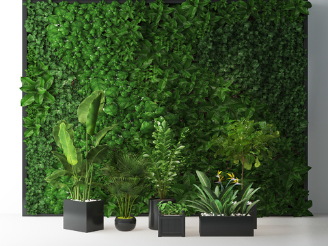 modern plant wall green plant potted plant