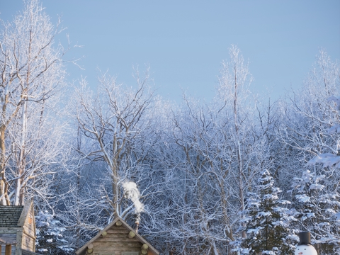 Modern Snow Wooden House