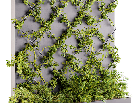 Modern Vine Creeper Plant Wall