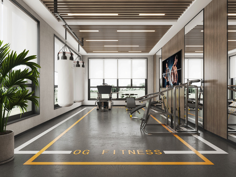 Modern Rest Gym