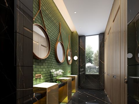 Modern Luxury Hotel Public Toilet