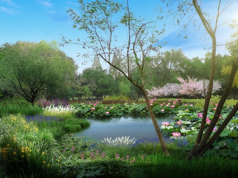 modern lotus wetland garden psd