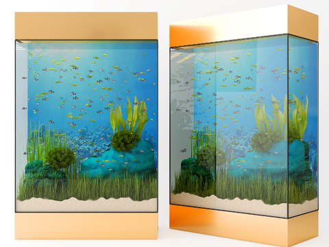 Modern glass fish tank