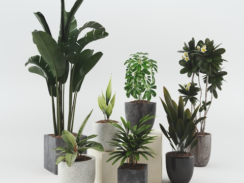 Modern potted plant combination