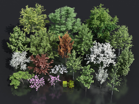 trees and shrubs