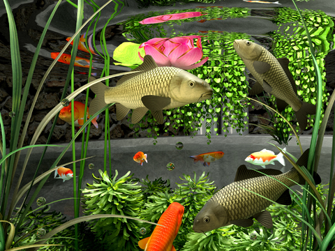 Modern fish tank pool ornamental fish