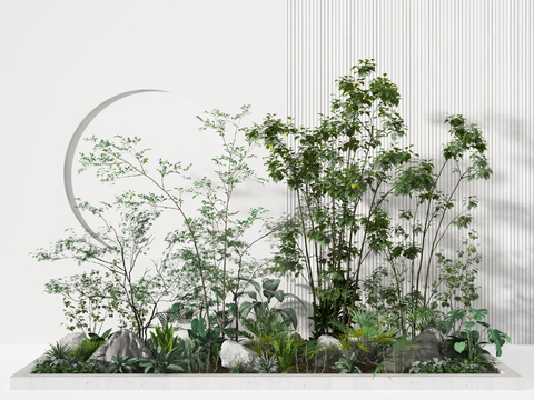 Modern landscape plant sketch