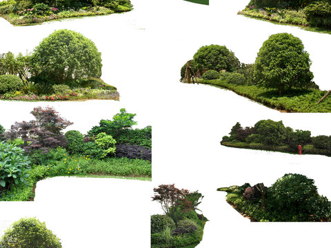 modern big tree tree landscape tree psd