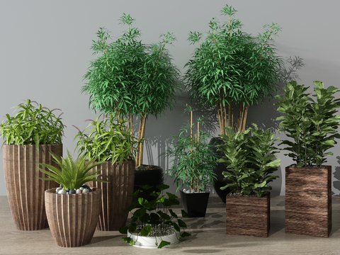 Modern plants potted free