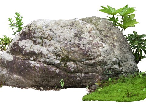 court stone moss landscape stone rock psd