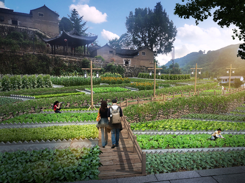 chinese vegetable plot landscape psd