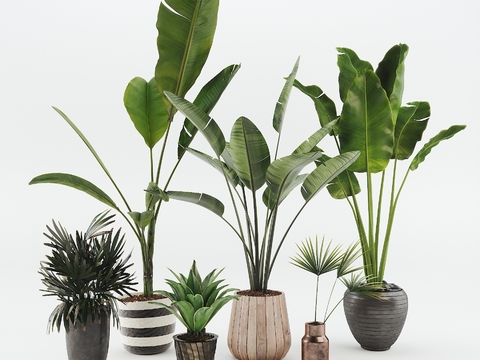 Modern potted plant combination