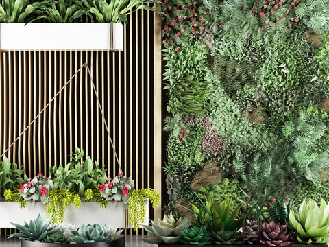 Modern Green Plants and Plants Wall