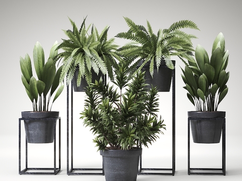 Modern potted plant combination