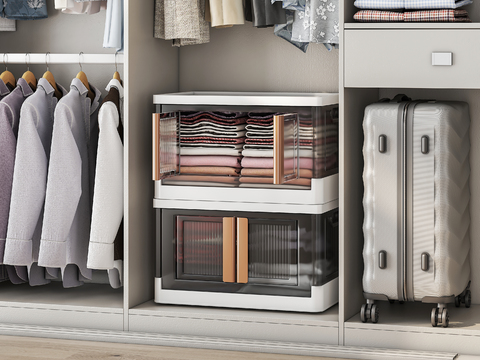 Wardrobe Storage Box Locker