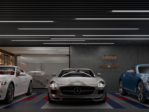 Modern Garage Parking