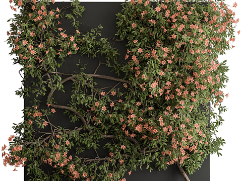 Modern Pomegranate Flower Plant Wall