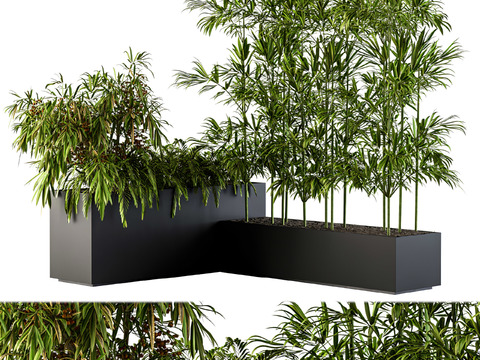 Modern Green Plant Bamboo Potted Plant