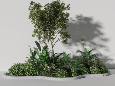 Modern Plant Landscape Garden Greenery