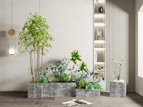 modern green plant flower bed potted plant